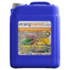 Oda Parfümü Mango Kokulu 20Kg